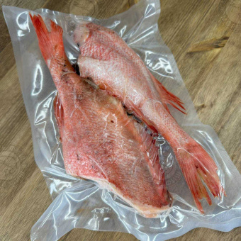 Окунь морской