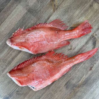 Окунь морской